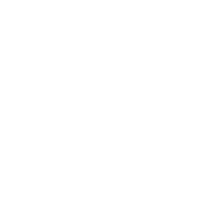 fontijne